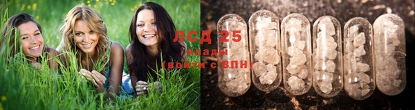 Альфа ПВП Алексин